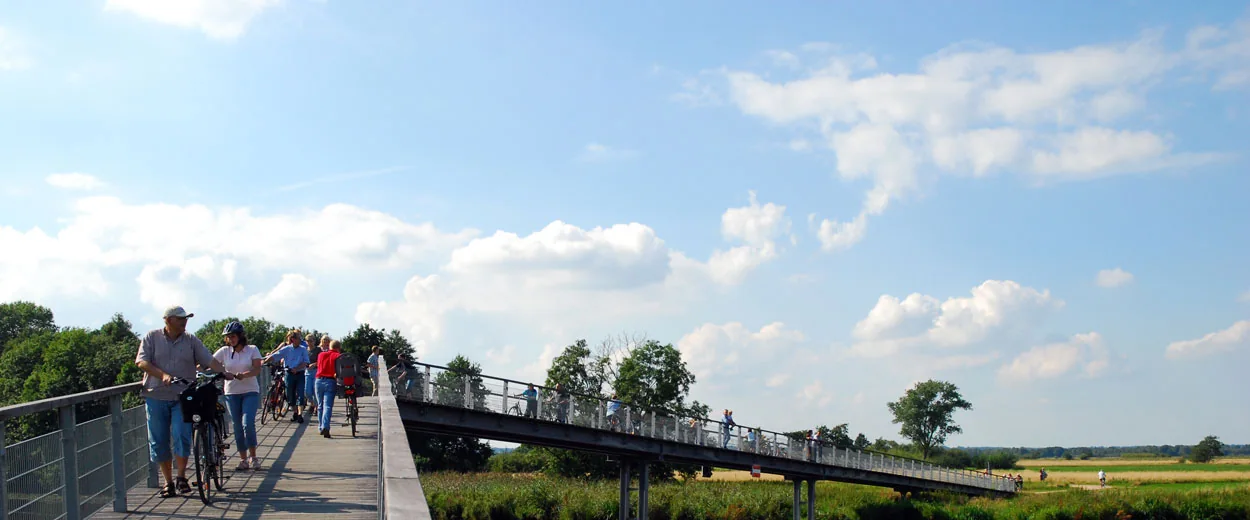 Bohlenweg durchs Teufelsmoor bei Lilienthal